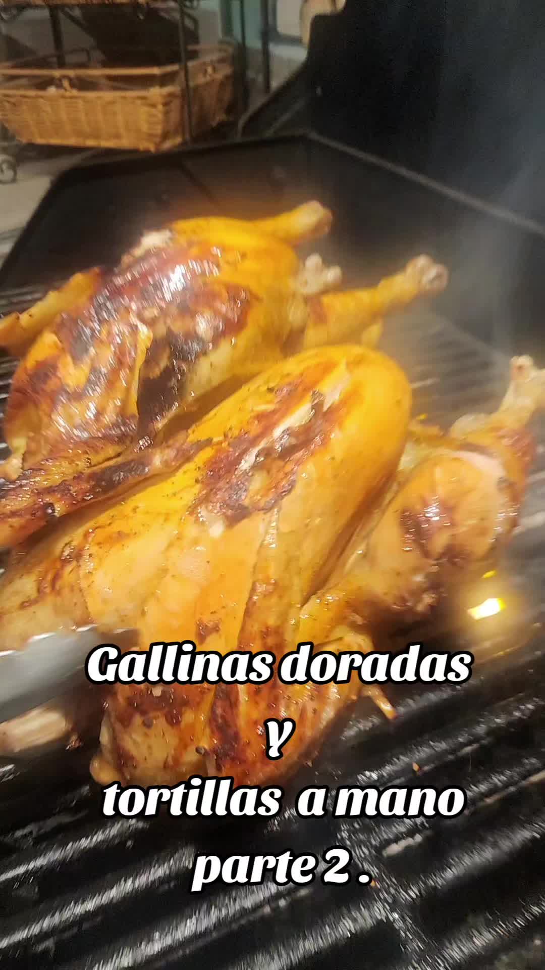 @Cecilia Machado