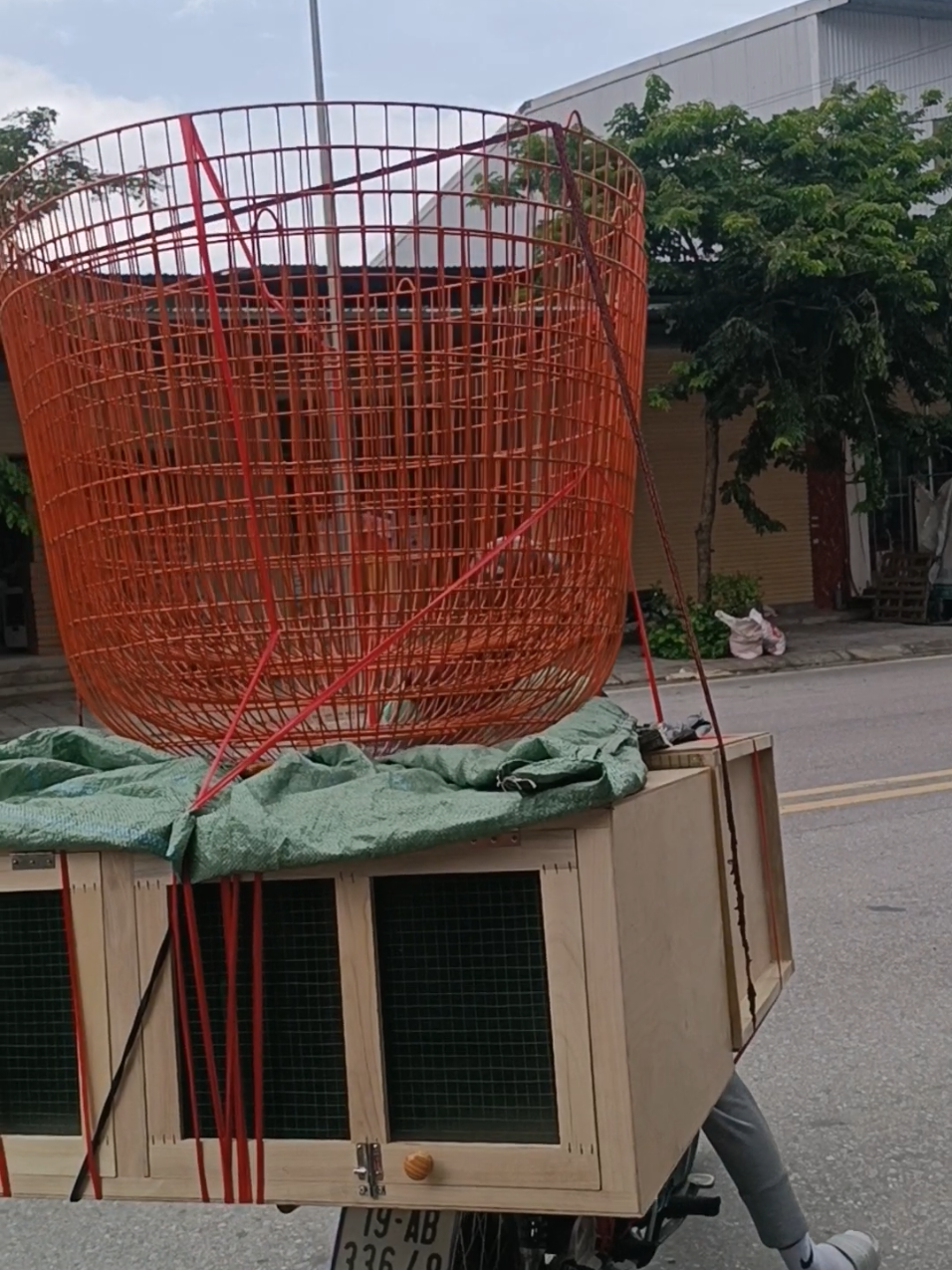 @Tổng Sỉ Huân Hường Thổ Tang