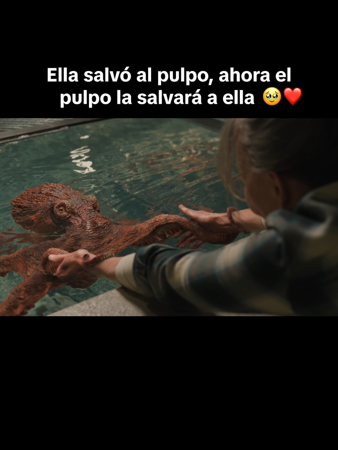 @Netflix Latinoam&eacute;rica
