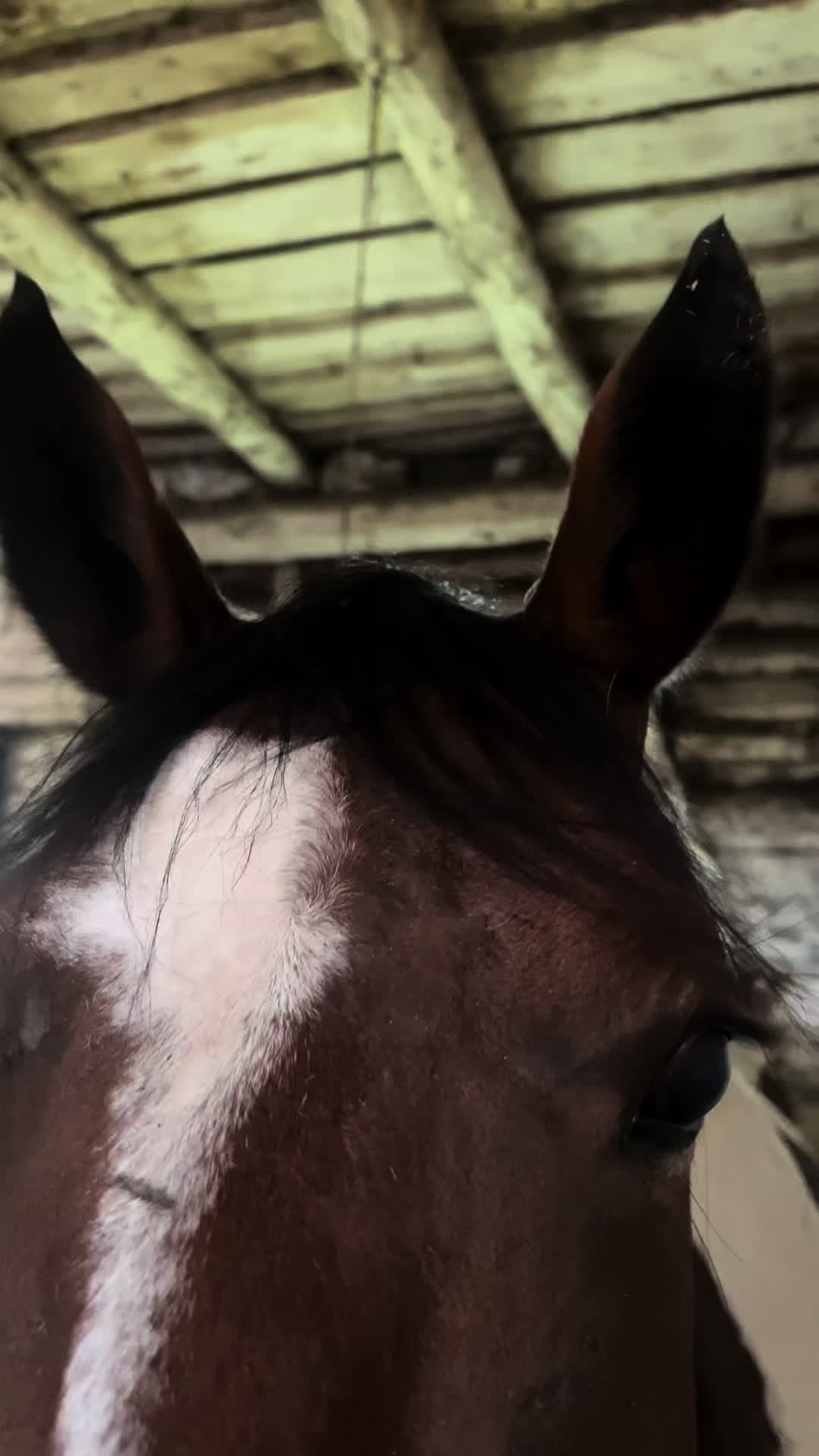 @Ли🐴