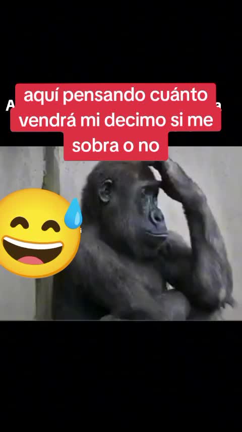 @♥️MACHO ALFA CLARA💙
