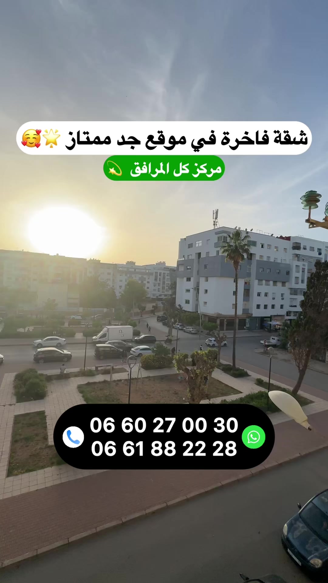 @Zakaria Haddad 🇲🇦🇵🇸