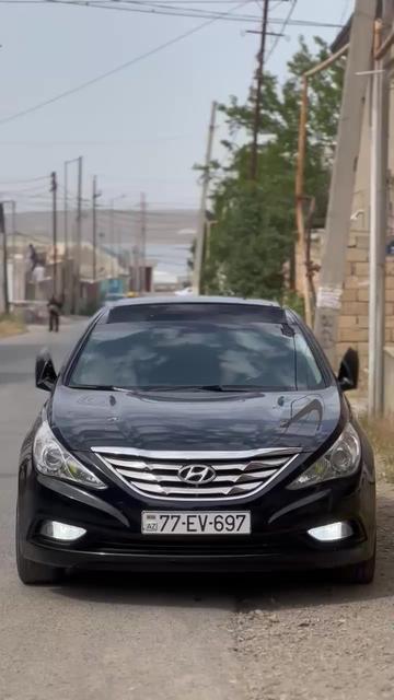 @Aliyef019
