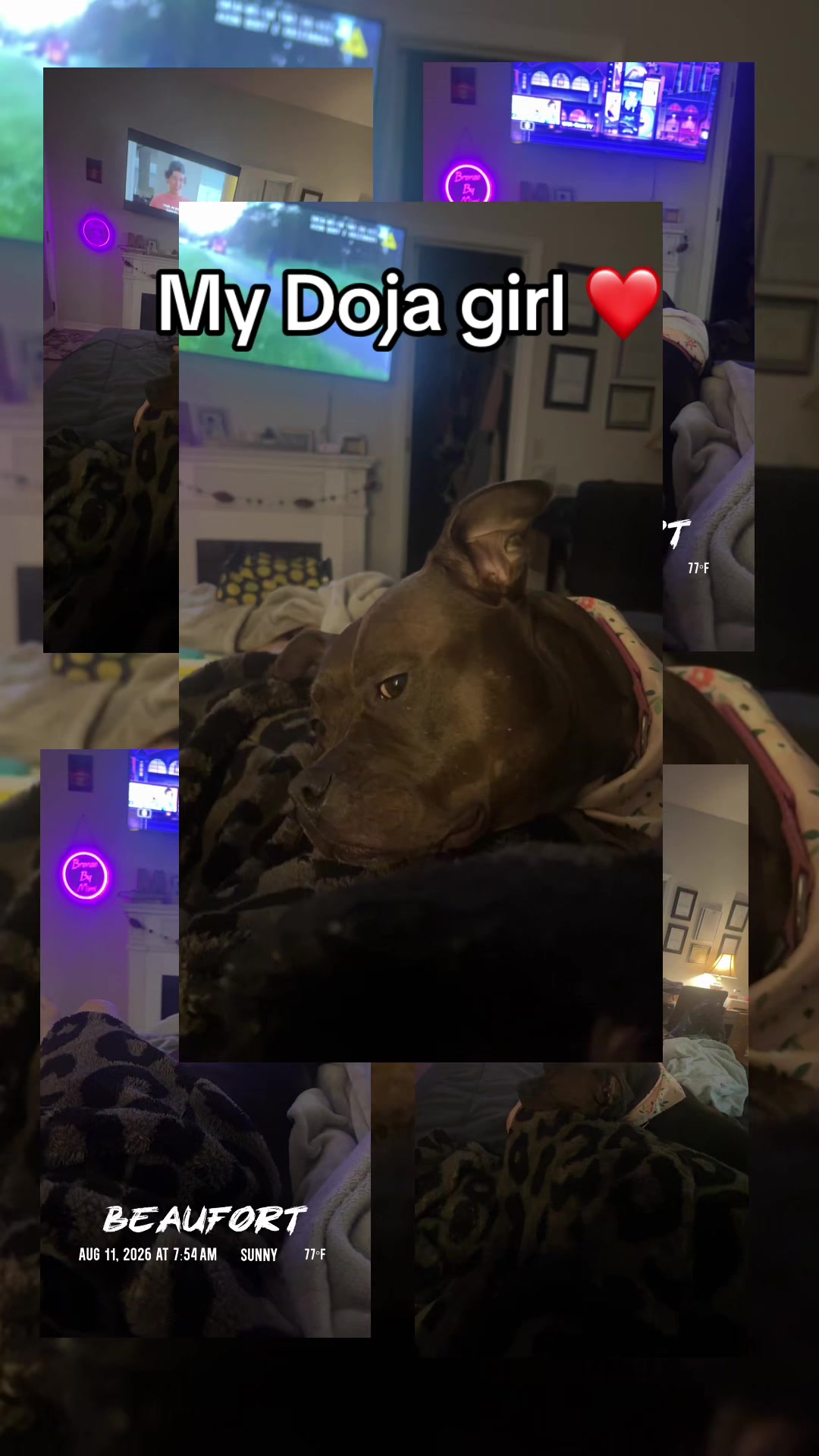 @Mimi