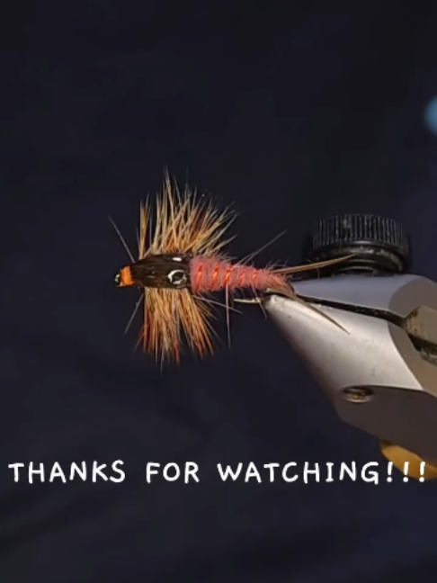 @veevusFishing
