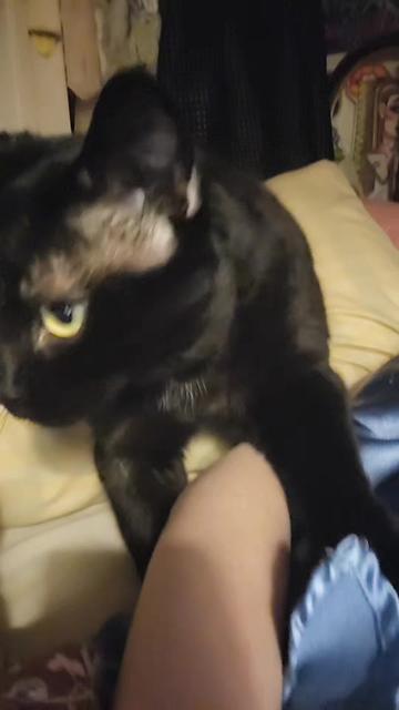 @Kat