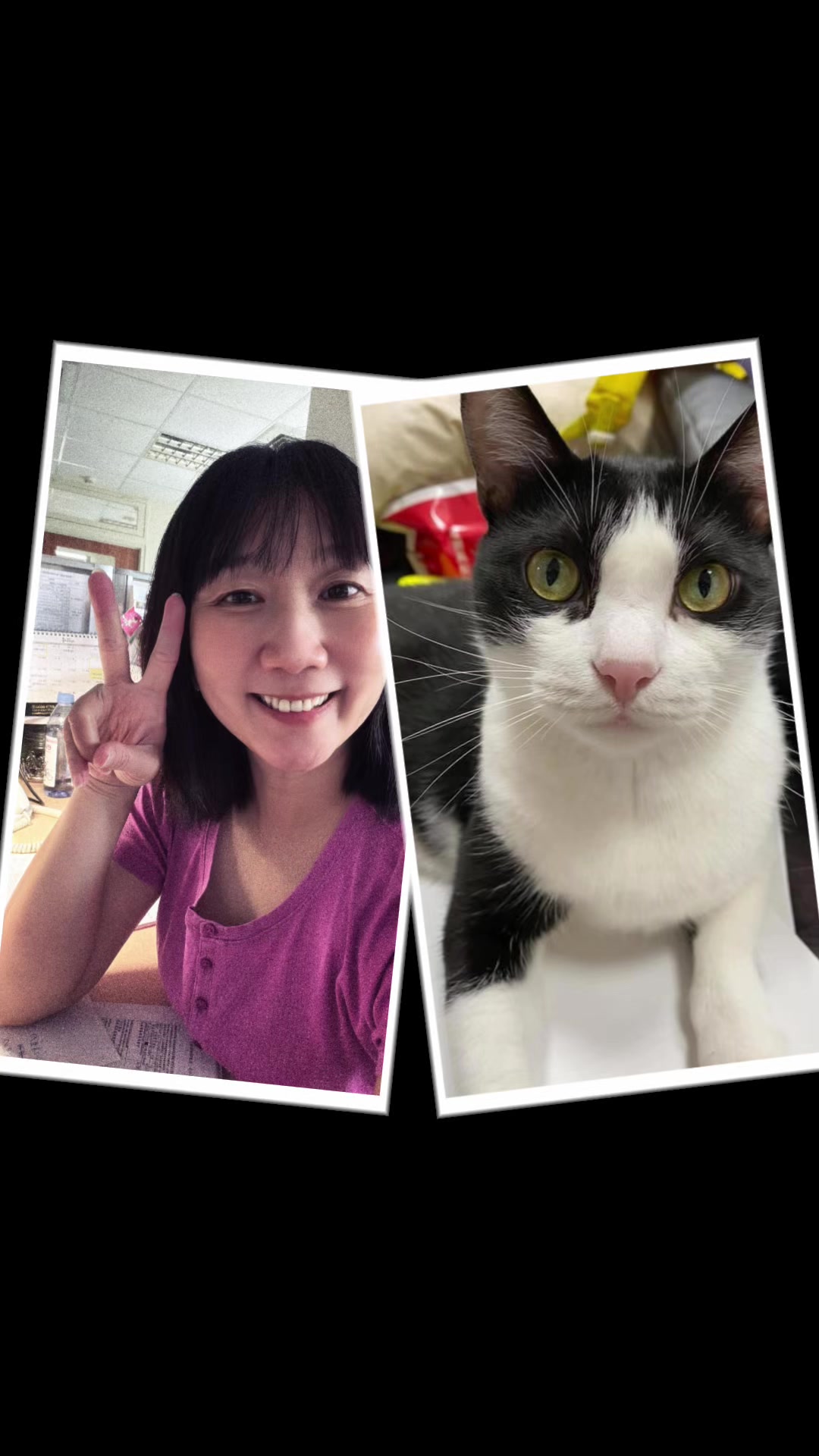 @Jingle Bell