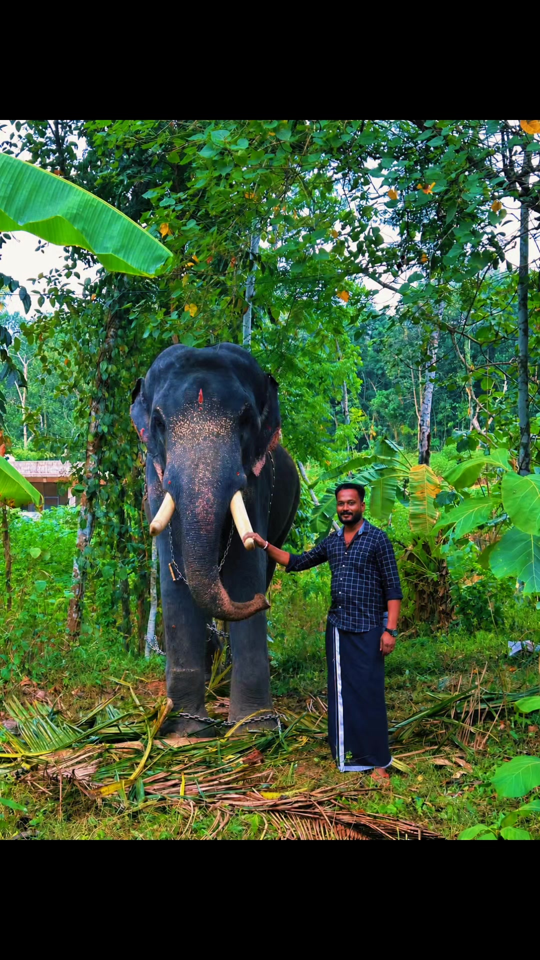 @💖🕊️☔ Aneesh gopinathan🕊️☔💖