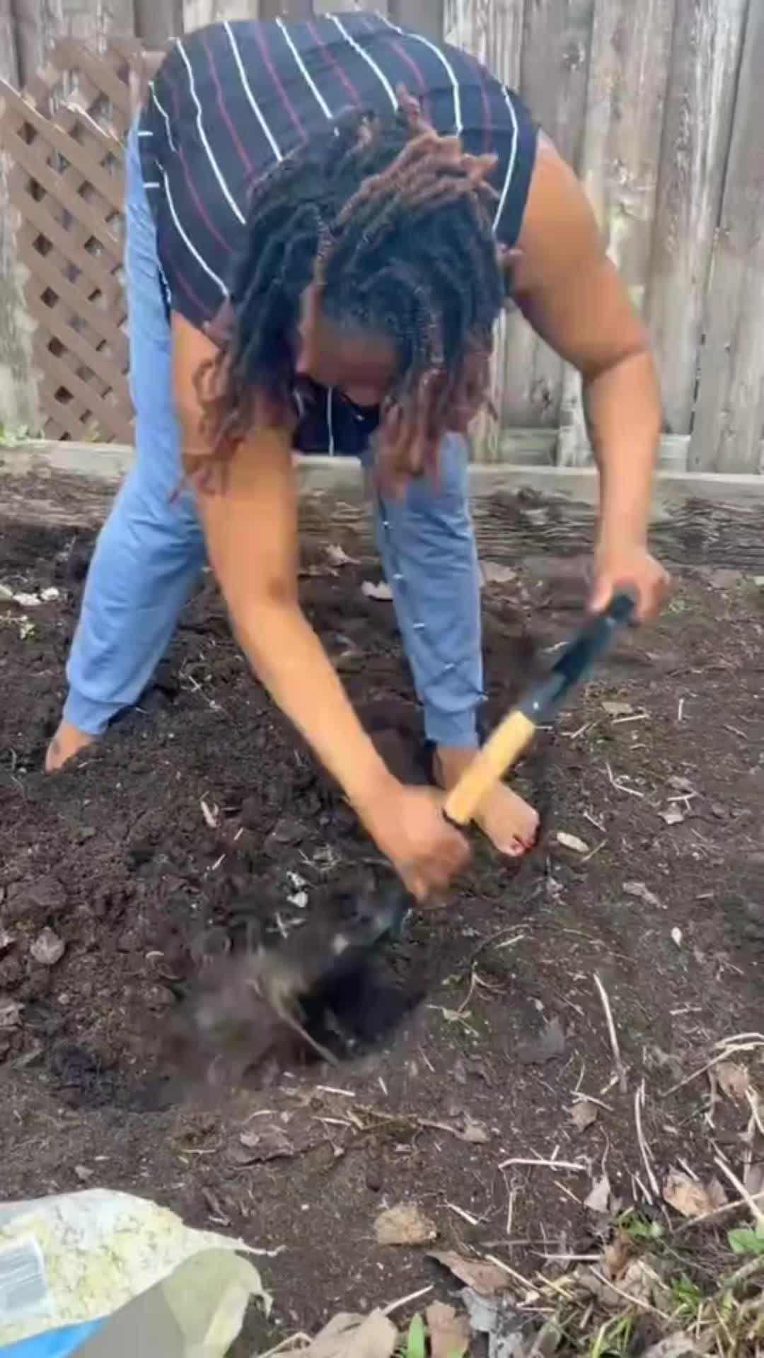@Din&eacute;-Suz
