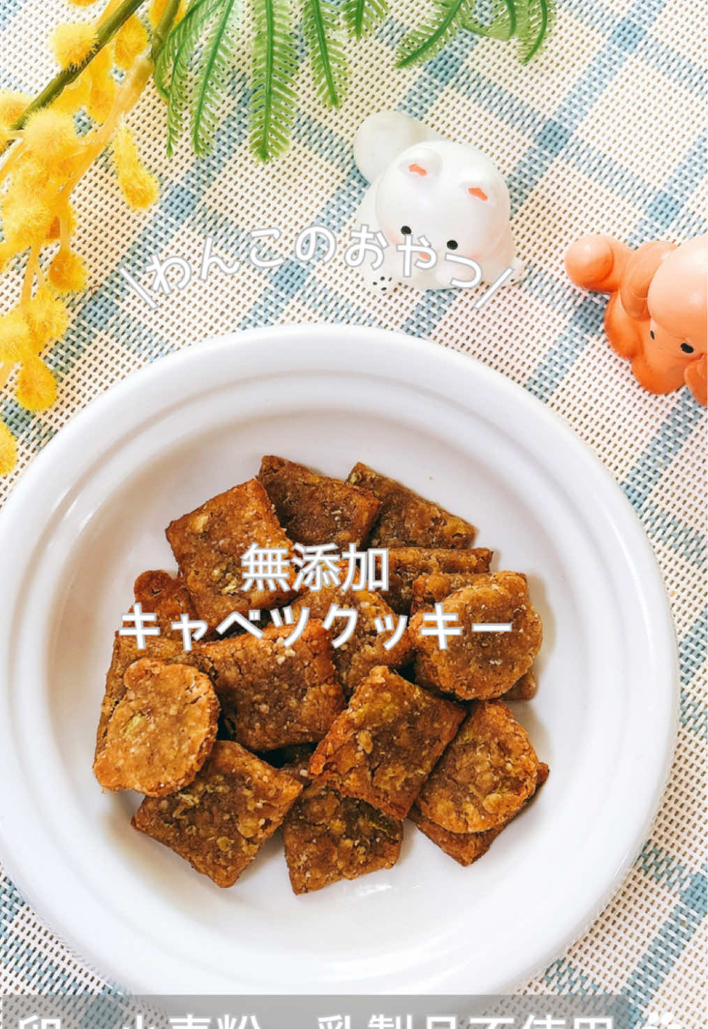 @ゆきえもん|手作り愛犬おやつ