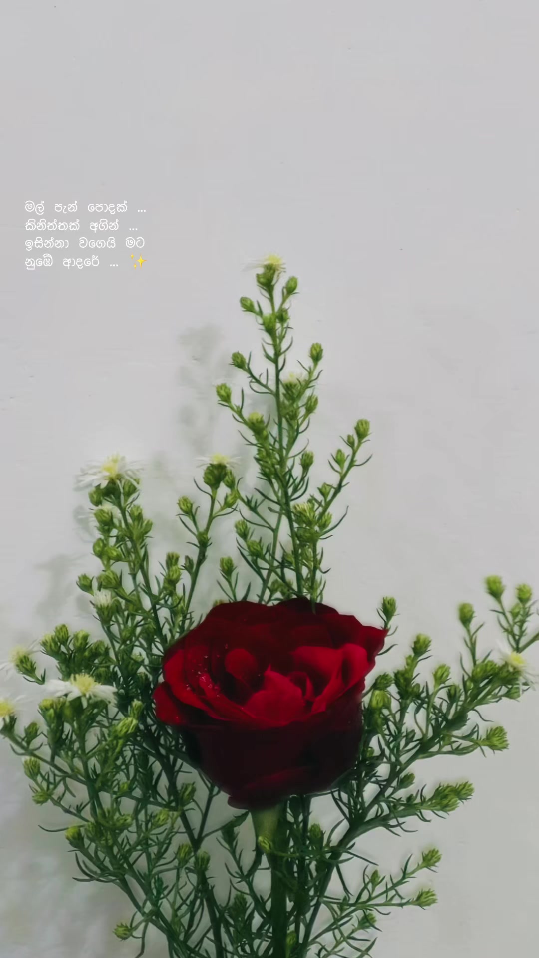 @CHANU &hearts;️