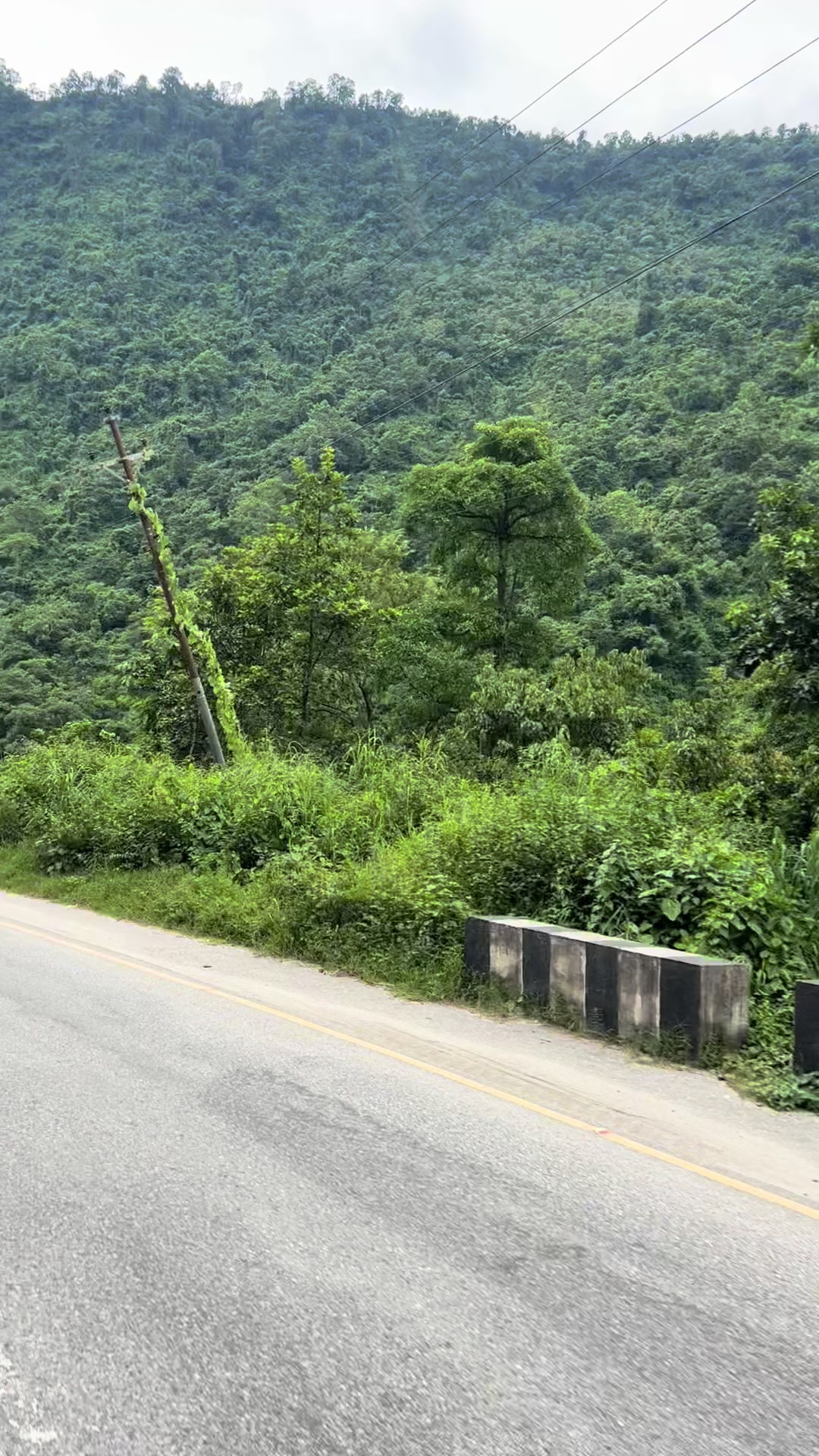 @Sita Sapkota