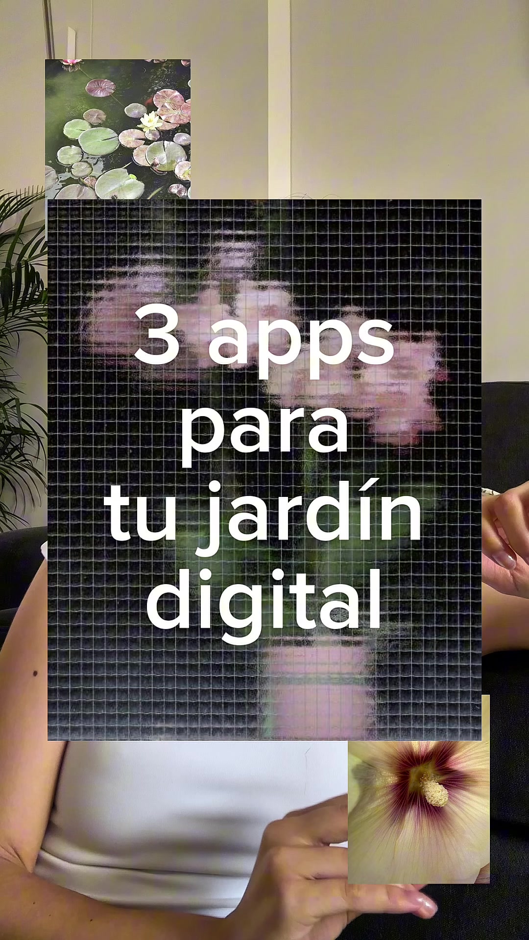 @Sarah Lucía
