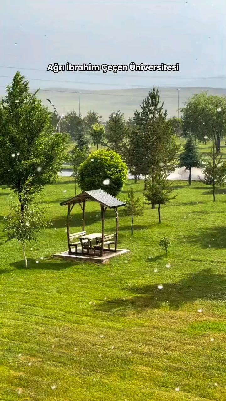 @&Ouml;zkan Boz☑️