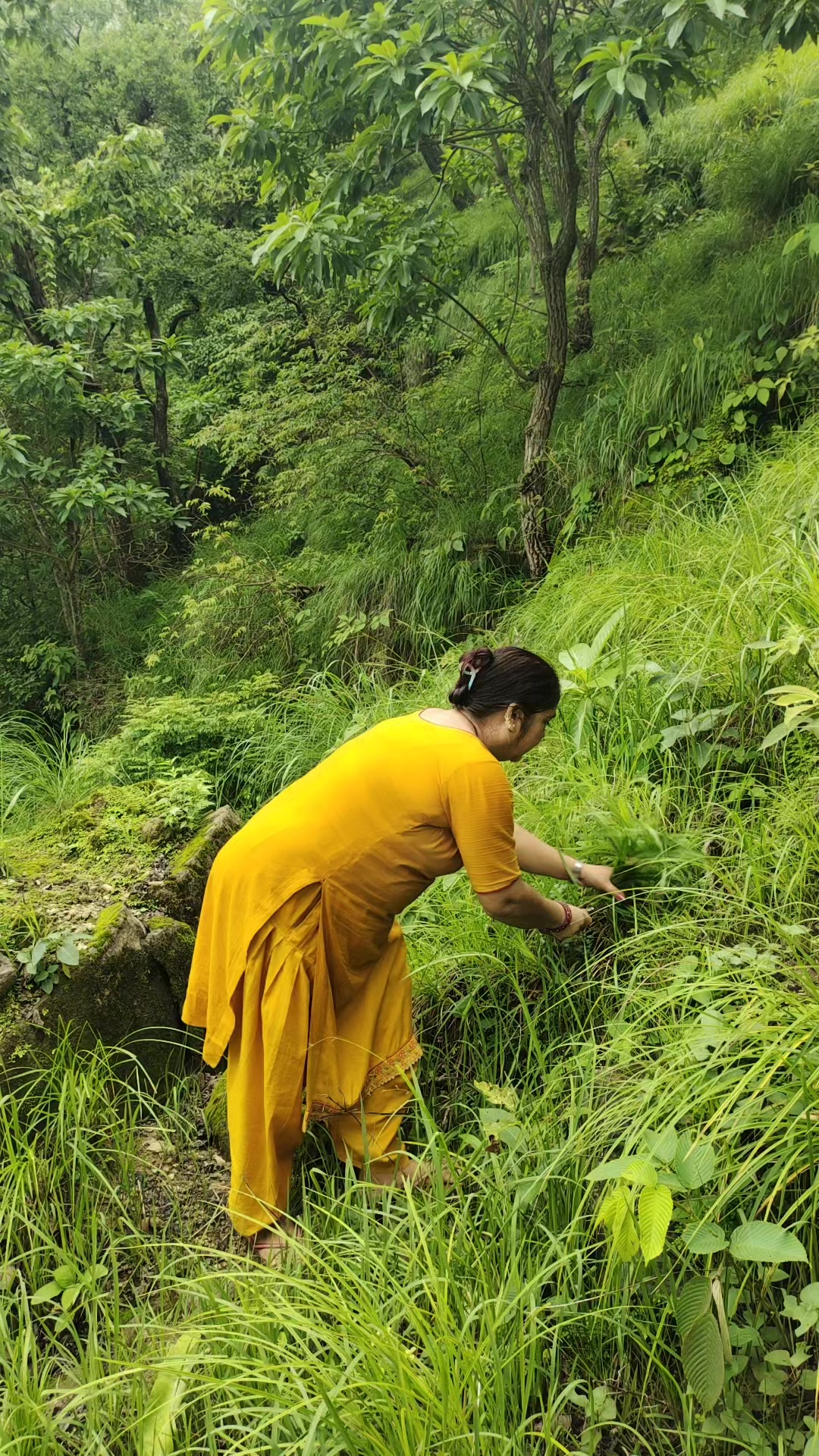 @amrita khadka oli