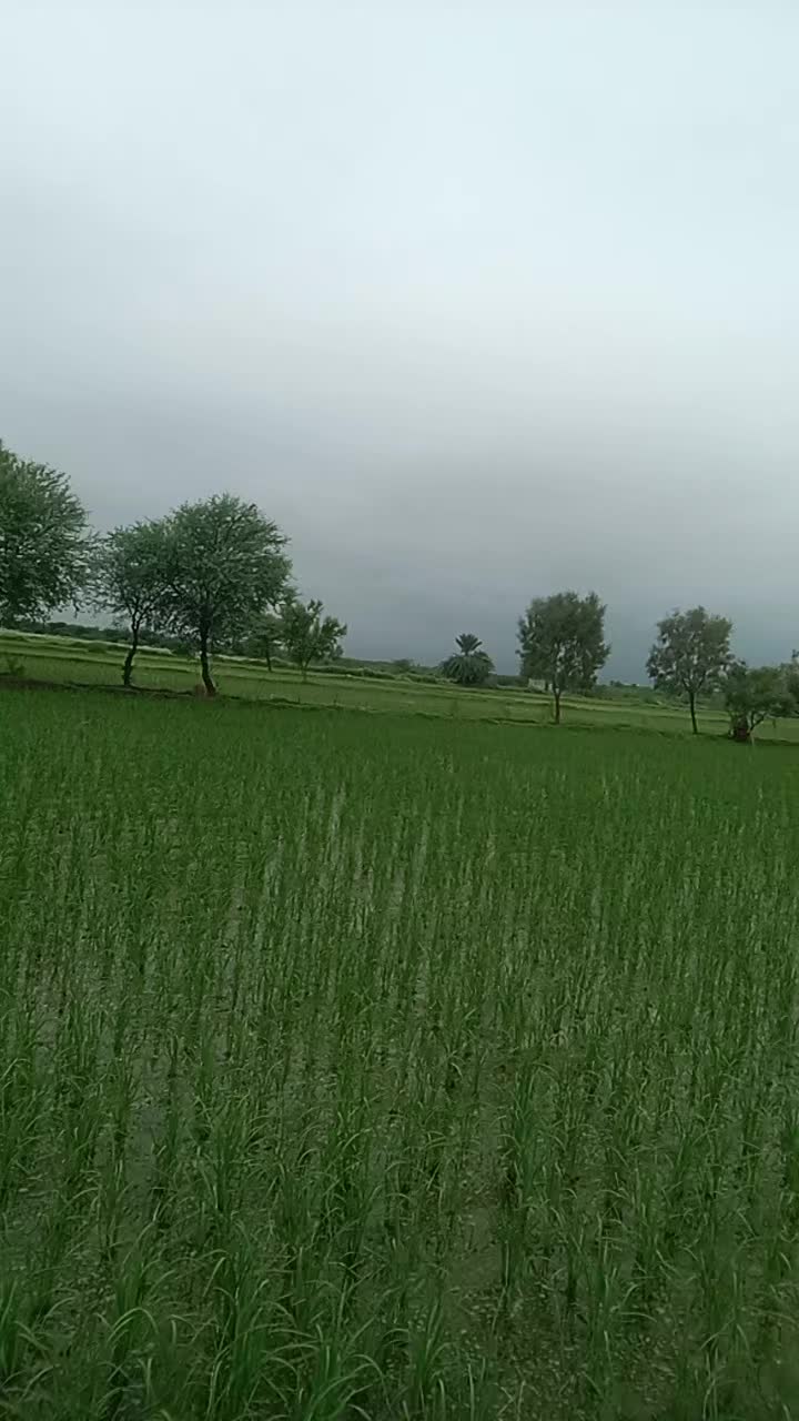 @Malik Tariq 512
