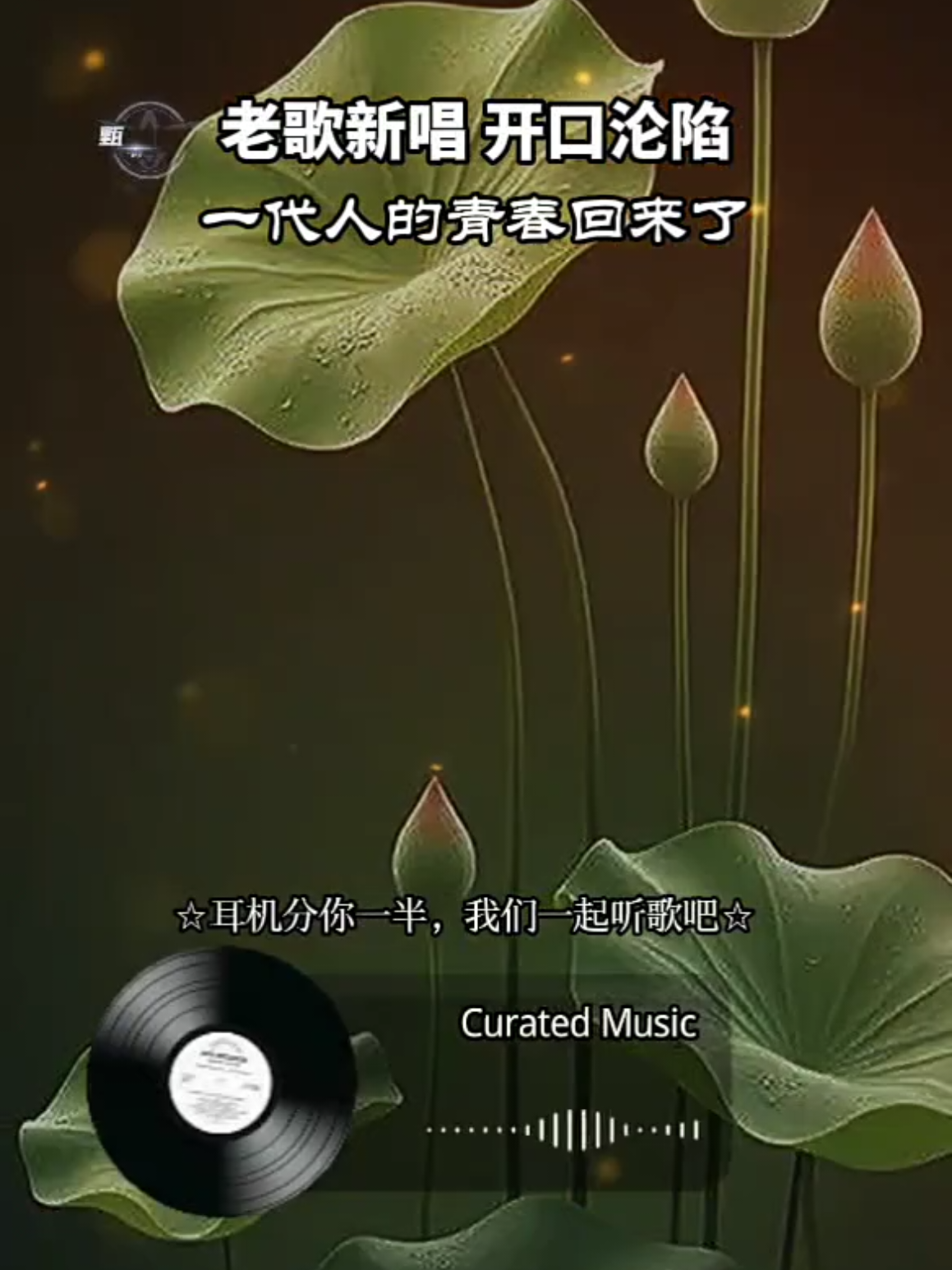 @美丽的世界
