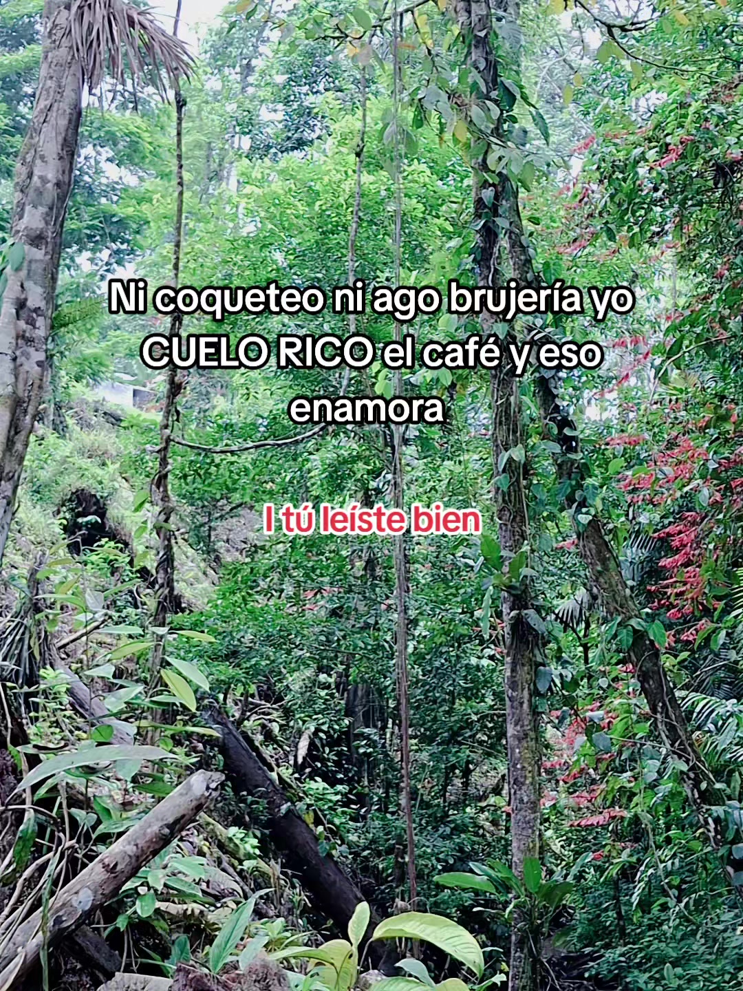 @gemelo Lopez 🥰