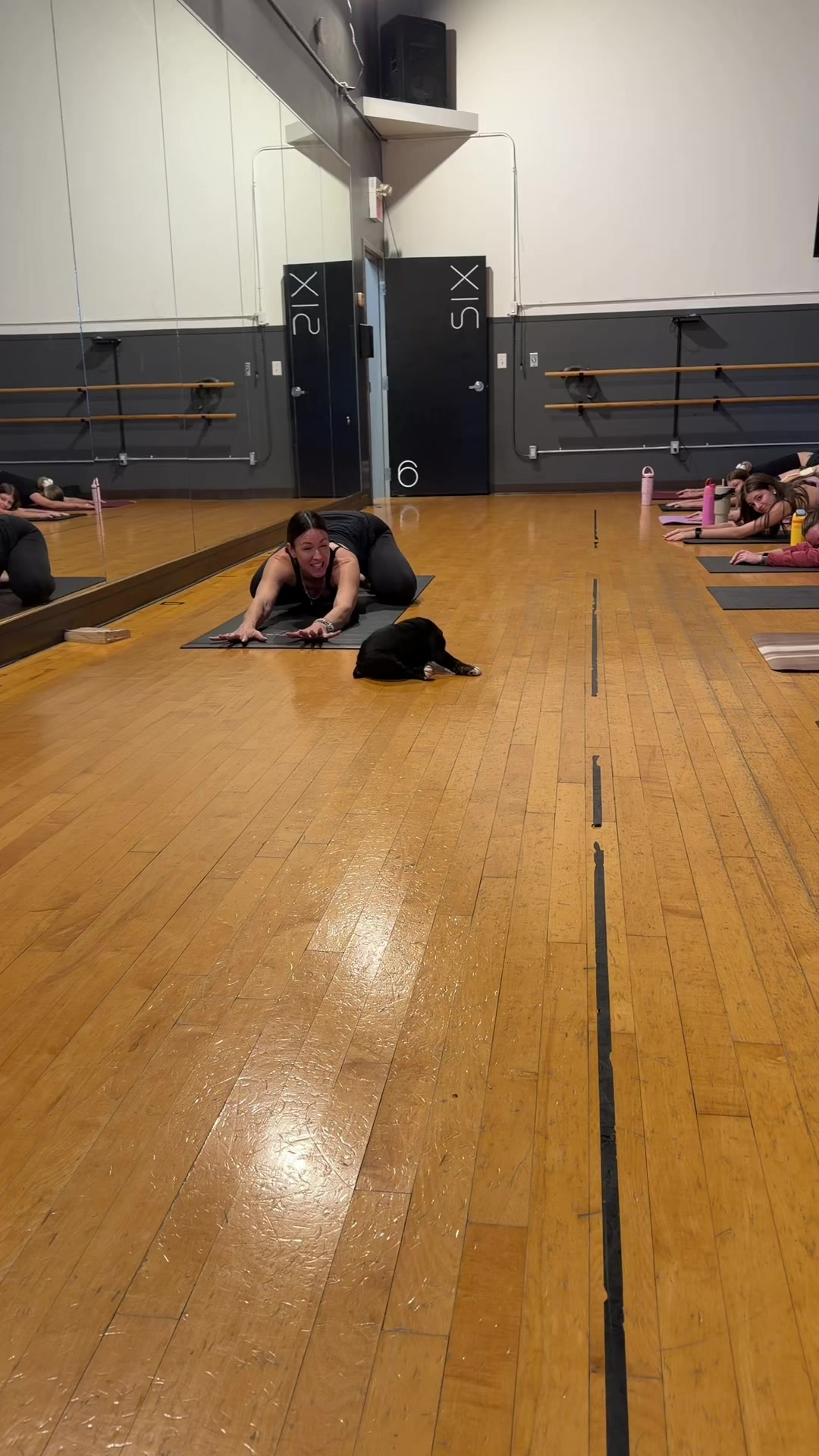 @Muskoka Puppy Yoga