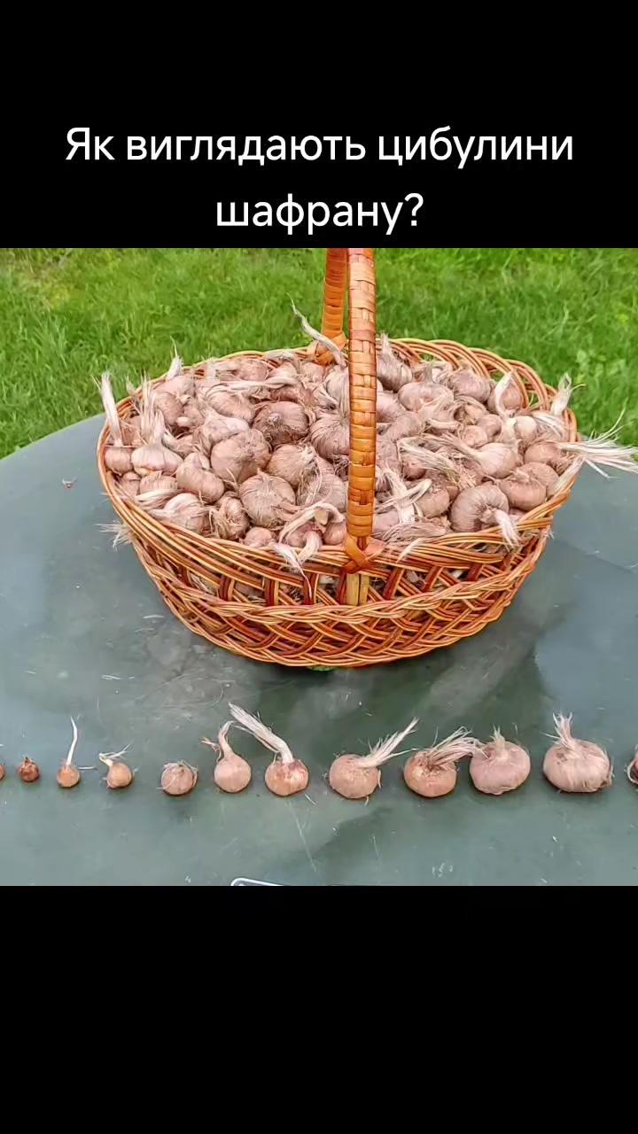 @Олег