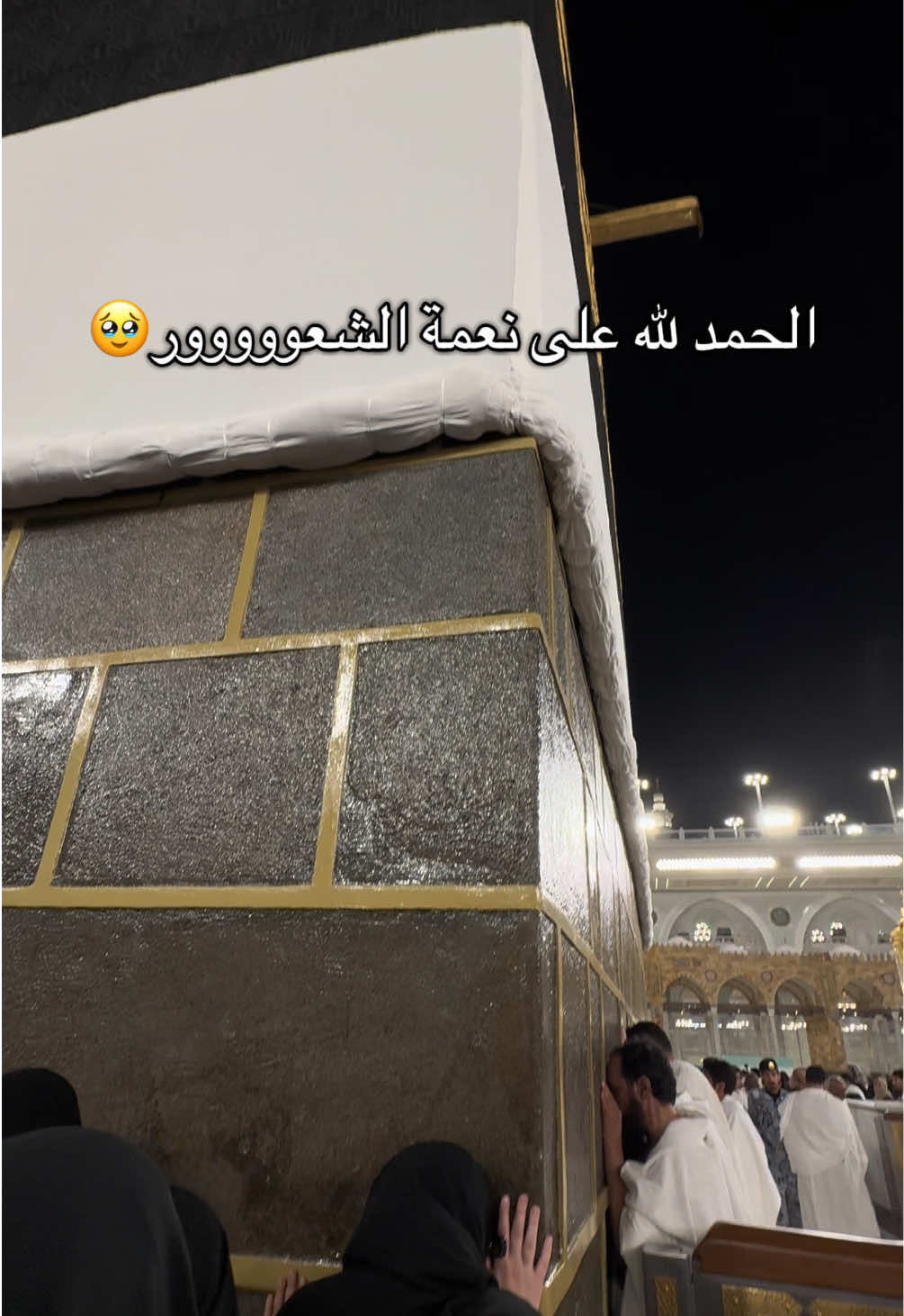 @سيلآ☂️