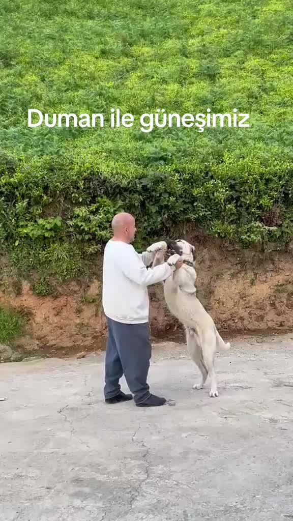 @Nurettin | Hayatın İ&ccedil;inden