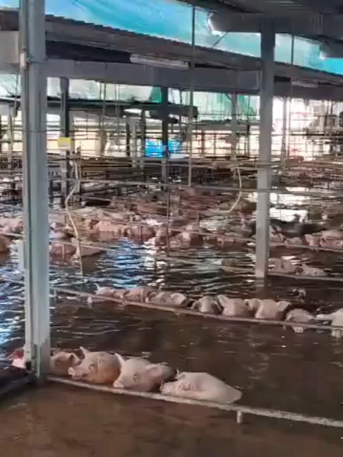 @Meganoticias Tehuacán