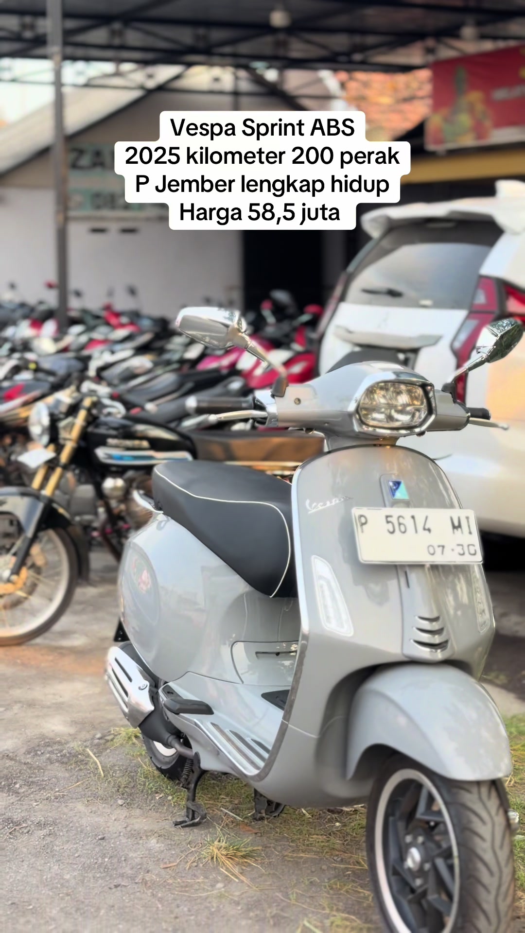 @Zang Motor