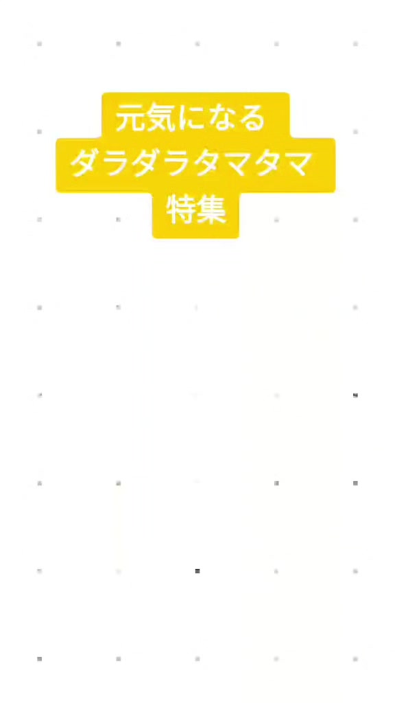 @猫写真家 森永健一
