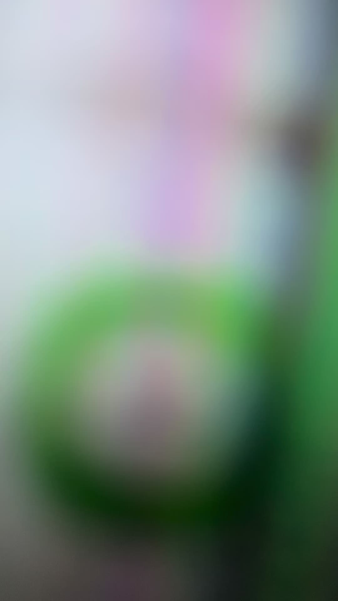 @claudianemarinho03