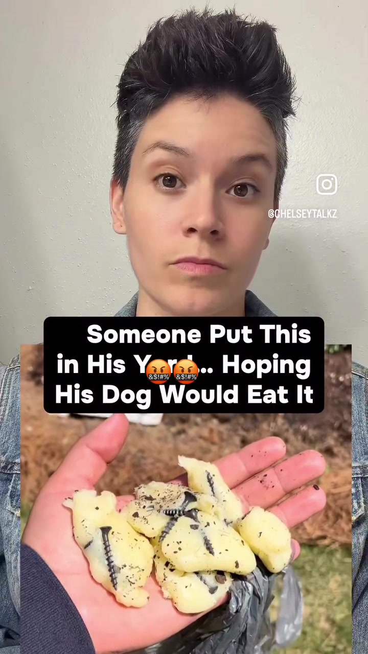 @Rescuelady