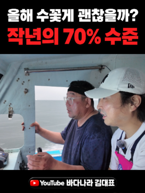 @바다나라김대표