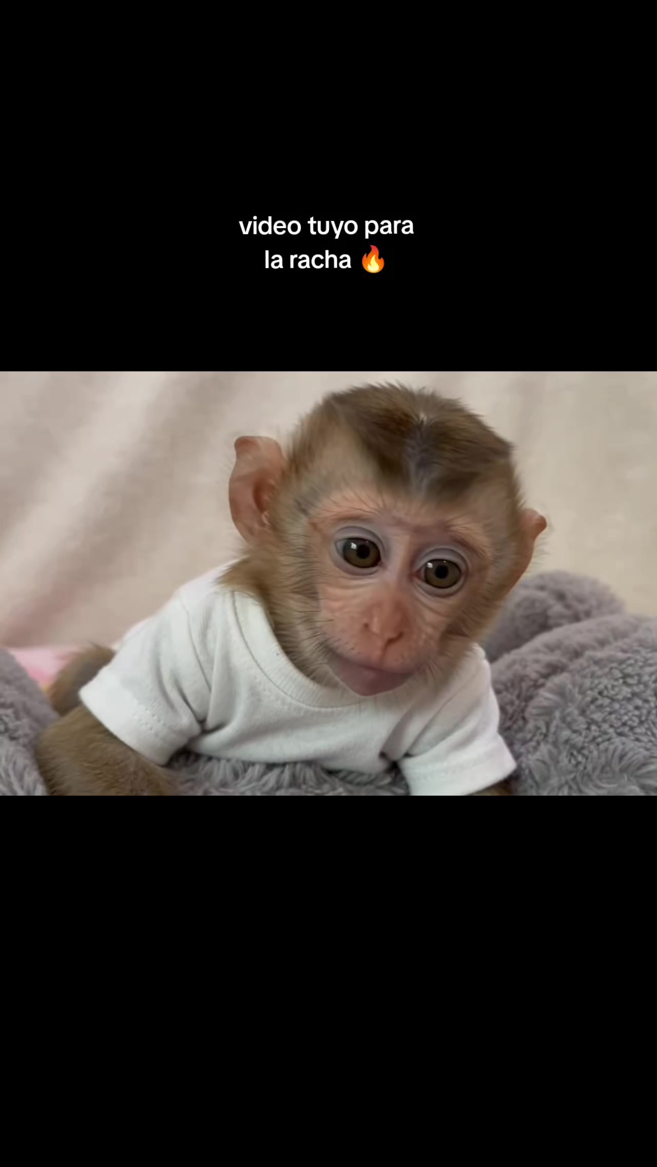 @RabPesito 🔥