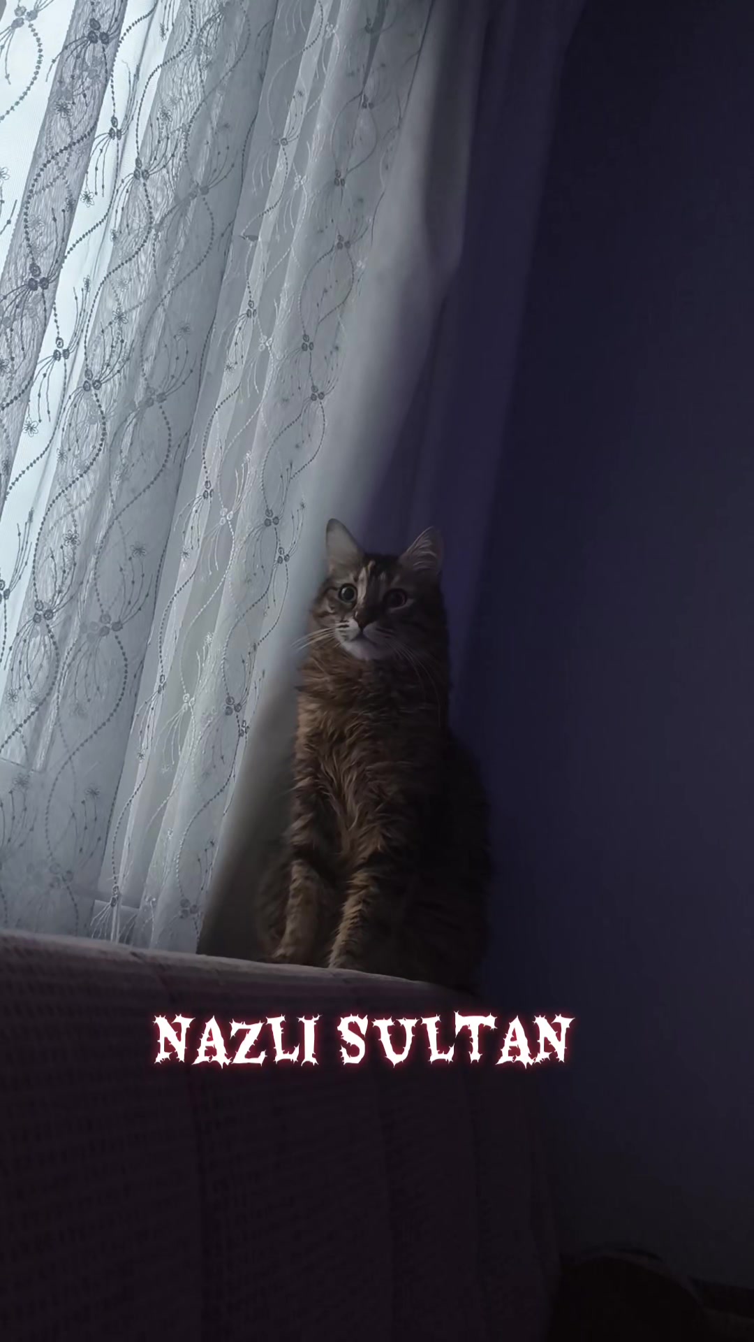 @nazlı sultan