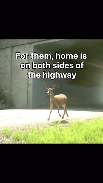 @Washington State DOT