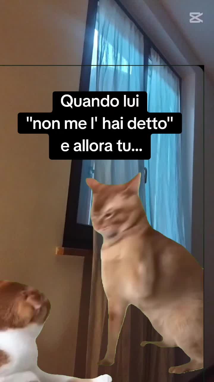 @PamDem