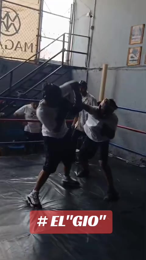 @netos boxing