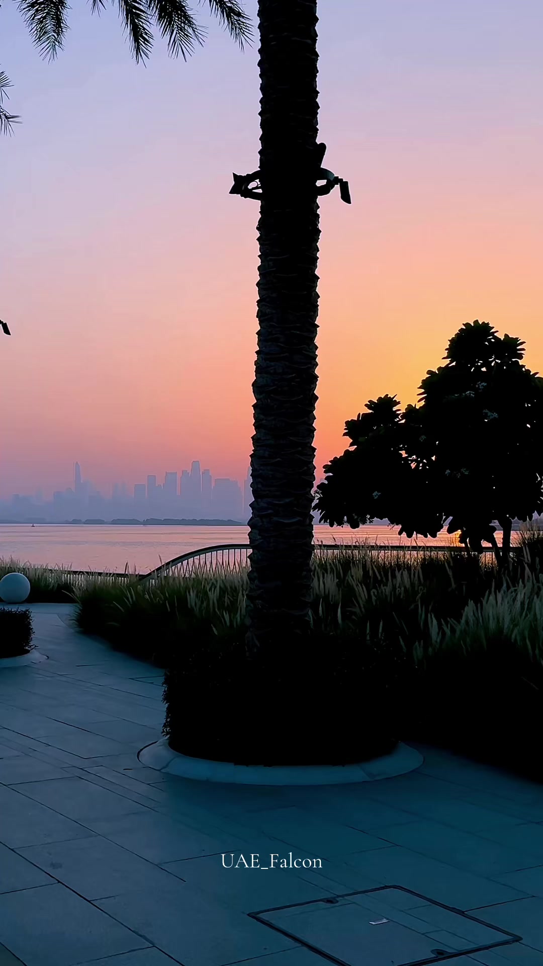 @UAE_Falcon