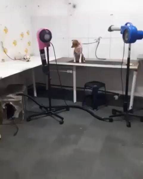 @Thom.Team โค๐๐๐โค๐ ๐น๐๐ฃ๐