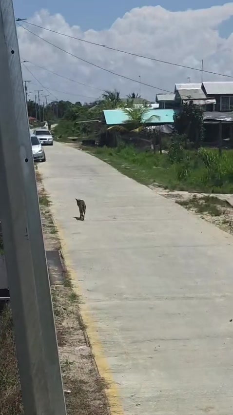 @•.•.នⲏǿ𝖓.•.•