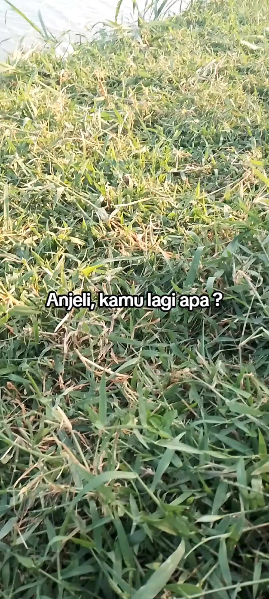 @BUK🅰️N_IDAM🅰️N MU_102 🇲🇨