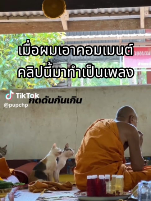 @ผักกาดดด