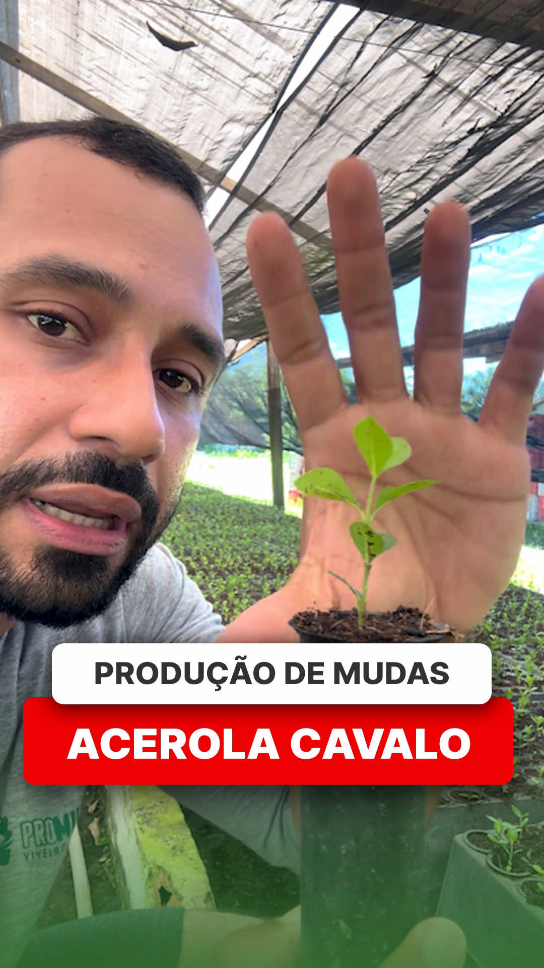 @ViveiroProMudas
