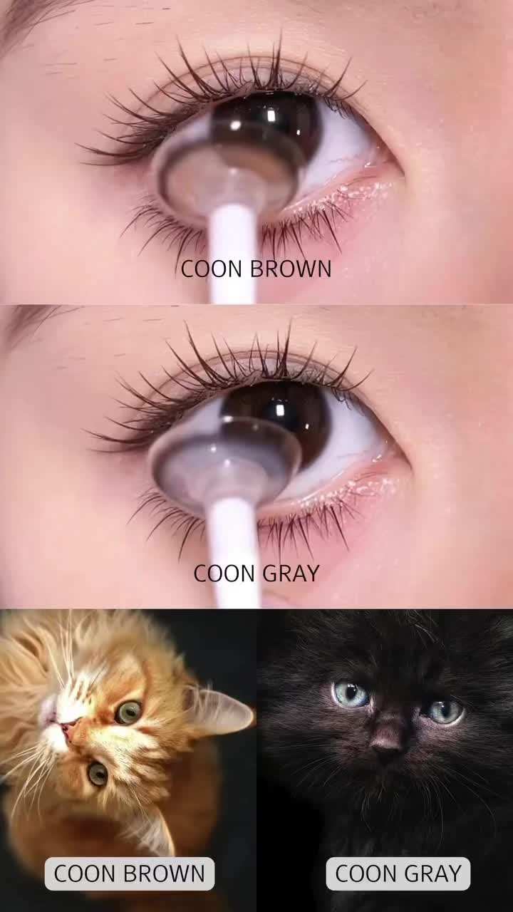 @Bae Lenses