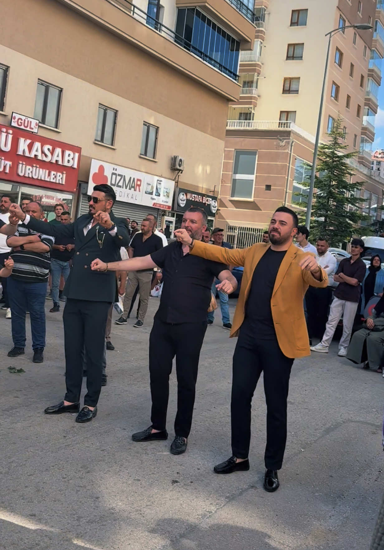 @Anıl Araz