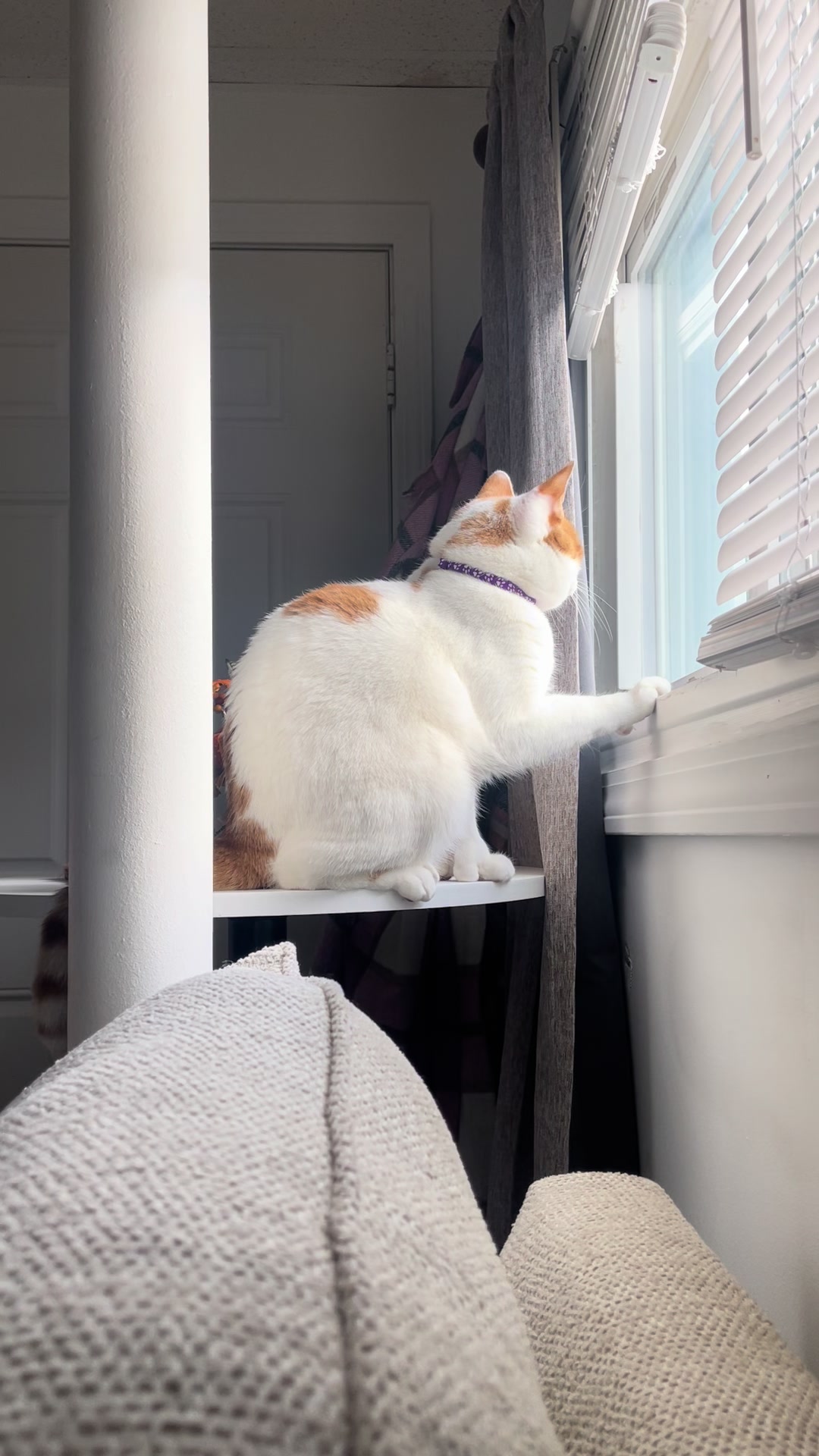 @Hanna 🐈 & Mayrie 👱&zwj;♀️