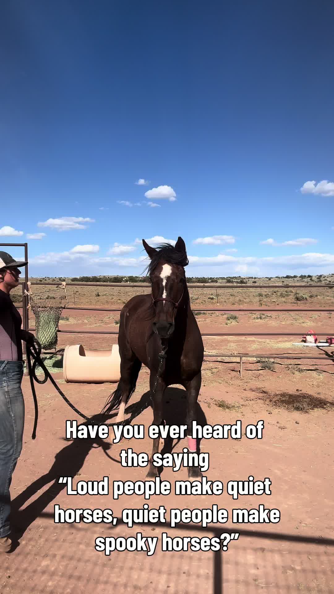 @CanyonStateHorsemanship