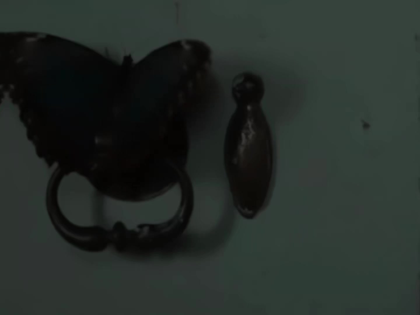 @𝕹𝖎𝖑𝖆_𝖑𝖕