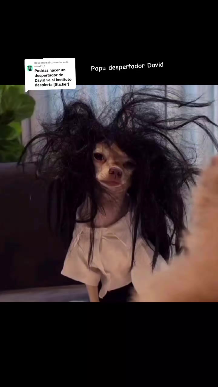 @Ivonne