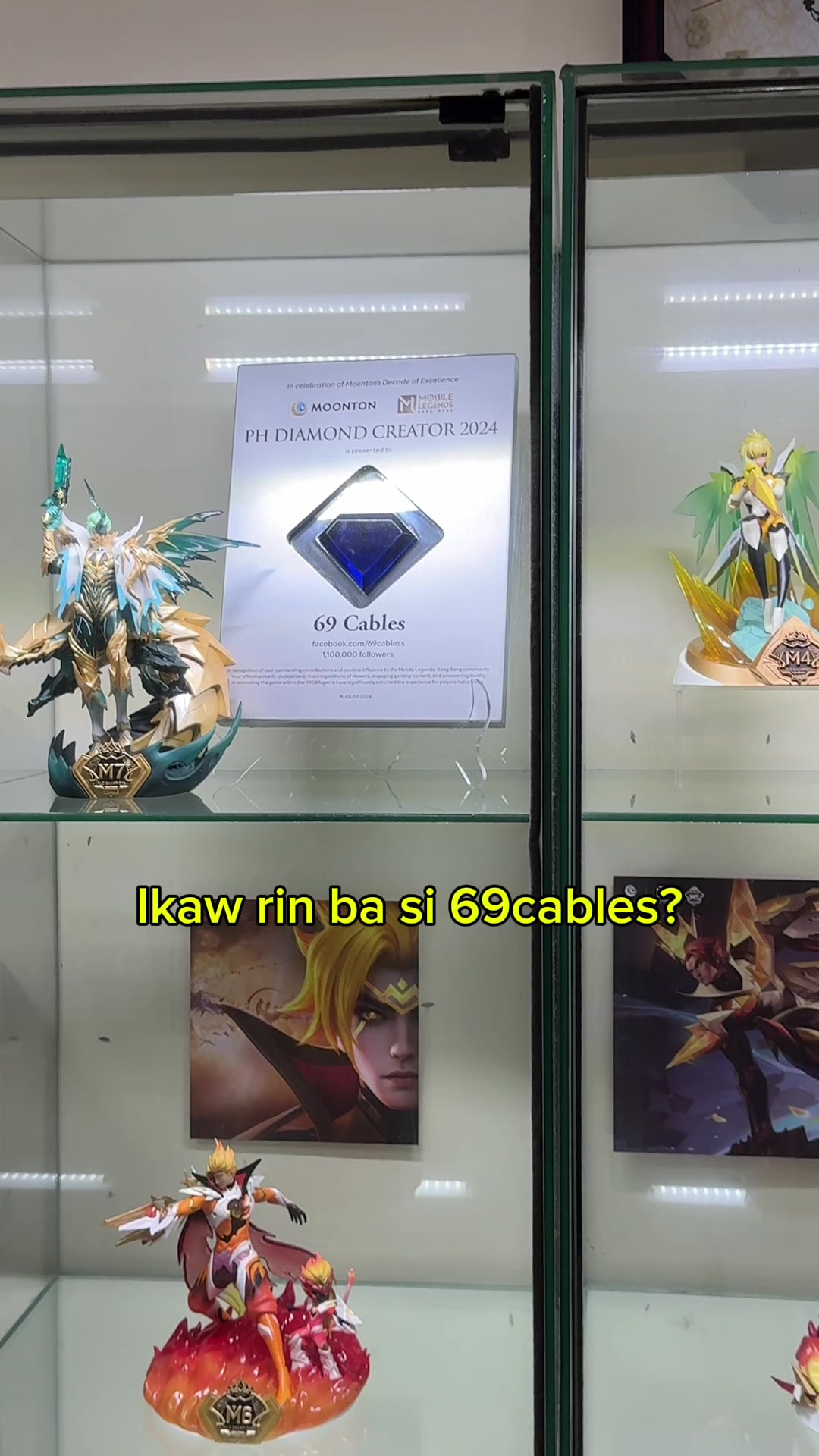 @69cables